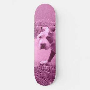 Pit Bull skate