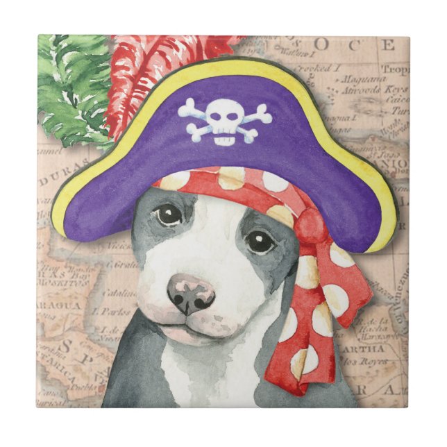 Pit Bull Terrier Pirate (Frente)