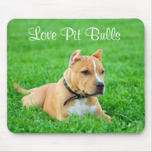 Pit Bulls Mousepad