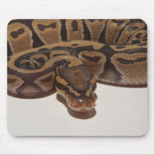 Pitão Mousepad da bola do fantasma