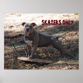 Pitbull com Skateboard apenas Poster