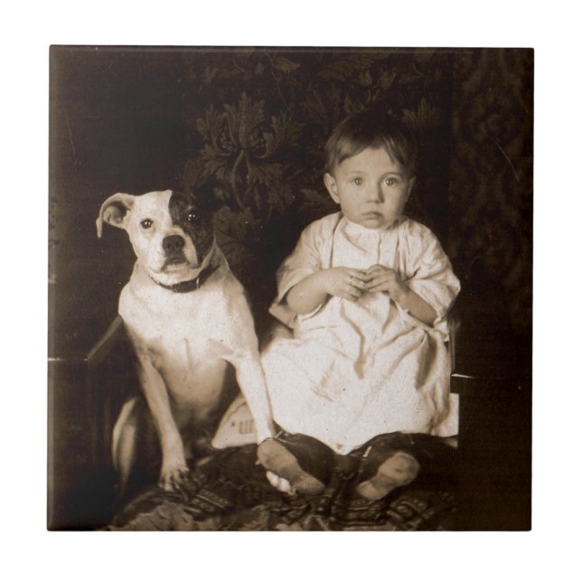 pitbull e bebê de cerca de 1910 (Frente)