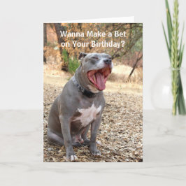 Pitbull faz um melhor cartão de aniversário