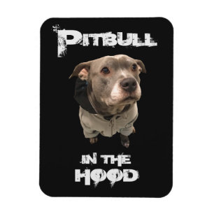 Pitbull no ímã da capa