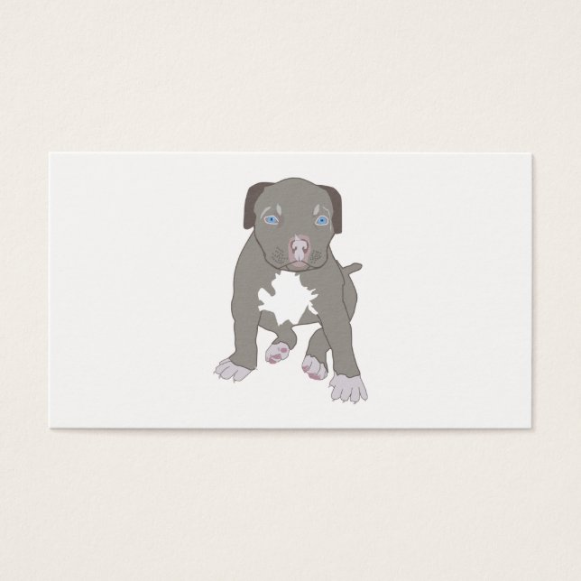 Pitbull Puppy (Frente)