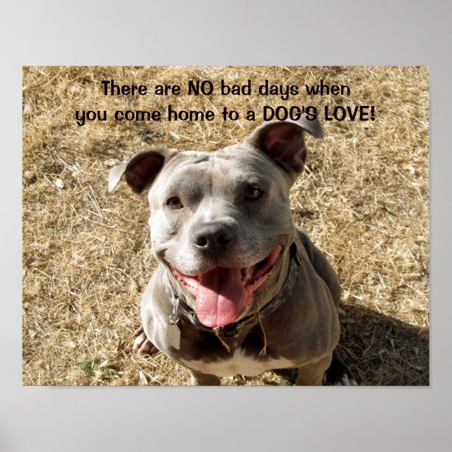 Pitbull Smiling Dog's Love Poster (Frente)