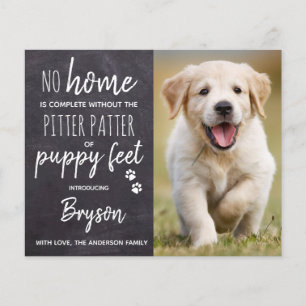 Pitter Orçamento Puppy Puppy Puppy Puppy Puppy Nov