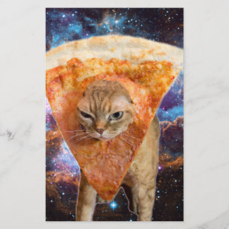 Pizza Cat no Espaço Vestindo Pizza Slice