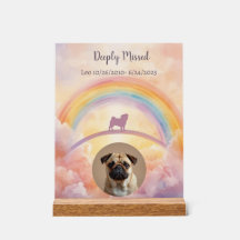 Placa Acrílica Memorial Pug Rainbow Bridge Perda d