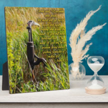 Água viva John 4 Inspiron