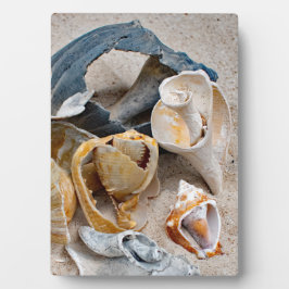 Placa Beldades da Praia Quebrada