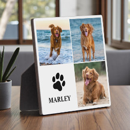 Placa Colar de Fotos Personalizado de Pata para Amantes