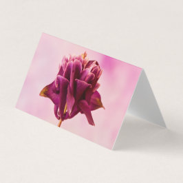 Placa Columbina Rosa Burgundy