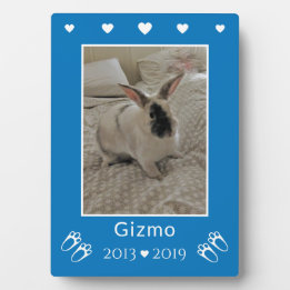 Placa Crianças Pet Bunny Rabbit Perda | Blue Photo Memor