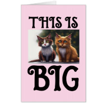 PLACA DE ANIVERSÁRIO DE 16 GATOS