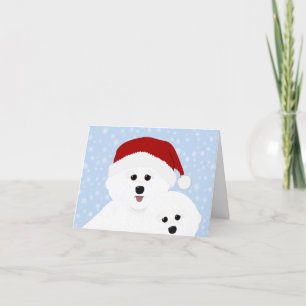 Placa de Cartões de natal Bichon Frise