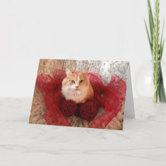 Placa de Cartões de natal Fluffy Cat e Red Ribbon