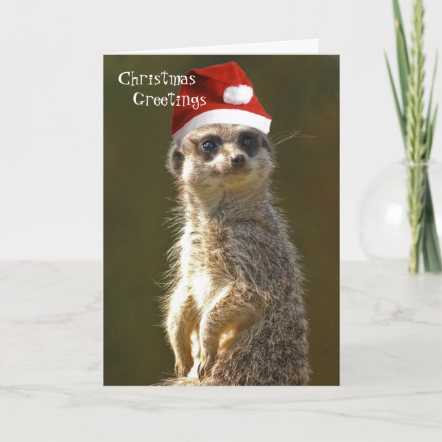 Placa de Cartões de natal Meerkat (Frente)