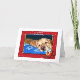 Placa de Cartões de natal para varejo de Ouro sono