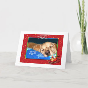 Placa de Cartões de natal para varejo de Ouro sono