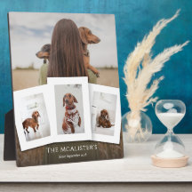 Placa de Colagem de Quatro Fotos de Pet DIY