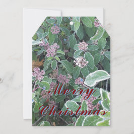 Placa de enfeites de natal