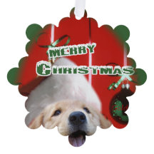 Placa de Enfeites de natal do ouro Retriever