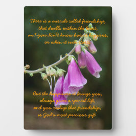 Placa De Exibição Milagre da Amizade