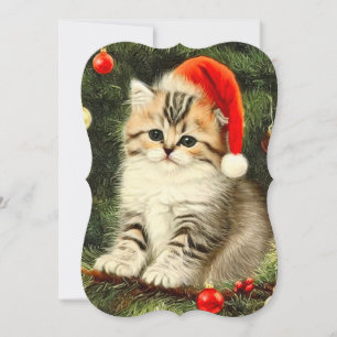 Placa de Kitten de natais vintages