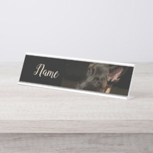 Placa De Mesa Cão Malinois belga