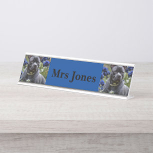 Placa De Mesa Staffordshire Bull Terrier In Blue Rosa Garden