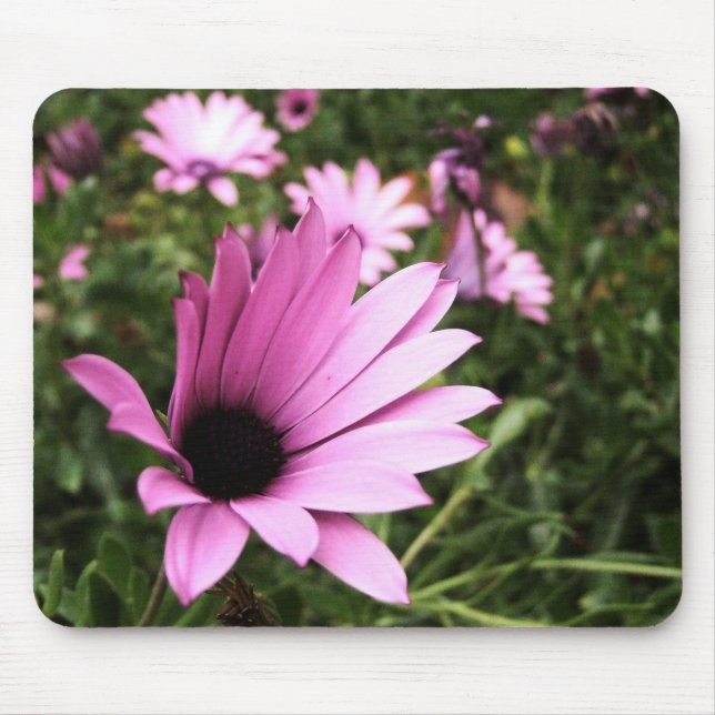 Placa de Mousepad Flor de Petais Rosa (Frente)