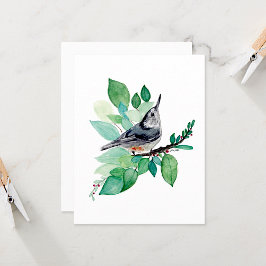 Placa de Nota de Aquarela Elegante Nuthatch