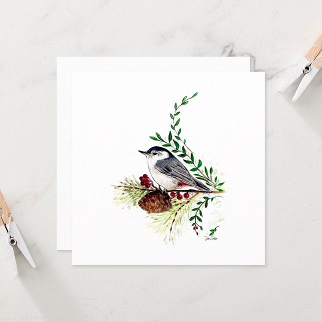 Placa de Nota de Cor de Água Lenta Nuthatatch (Beautiful Nuthatch Watercolor Blank Note Cards from Jenn Steffen Art)