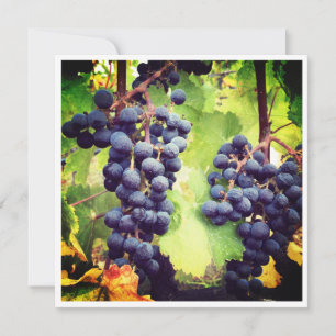 Placa de Nota de Grapevine