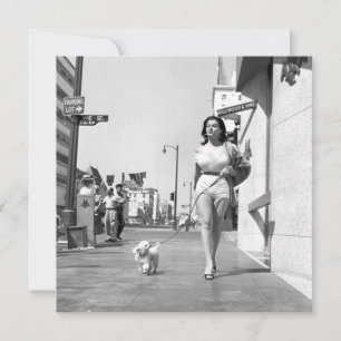 Placa de Nota Plana "Levando o Cachorro para uma C