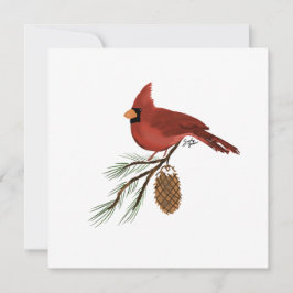 Placa de Papel de carta Cardinal