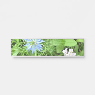 Placa De Porta Esperança