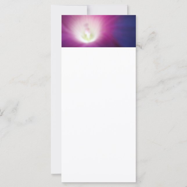 Placa de rack com sombras de púrpura (Frente)