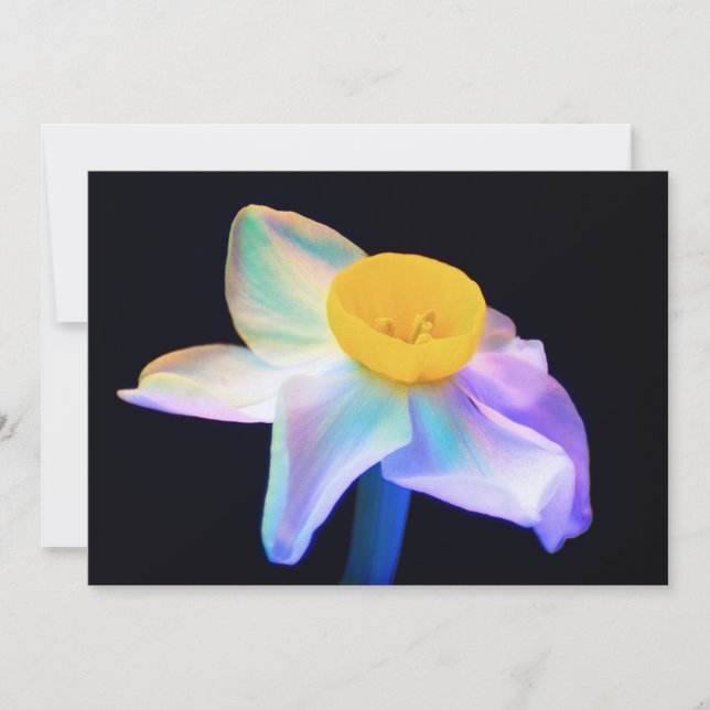 Placa de Saudação do Vazio de Fotografia UV Flor (Frente)