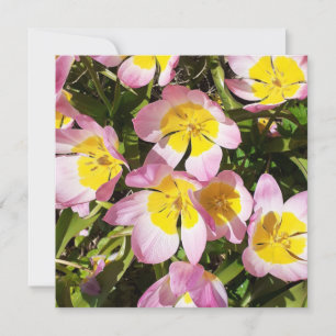 Placa de saudação plana das flores cor-de-rosa e a