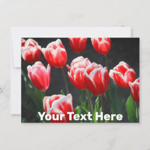 Placa de tulipas personalizável