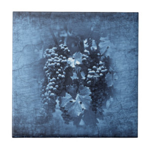 Placa de Uvas Azuis Vintage