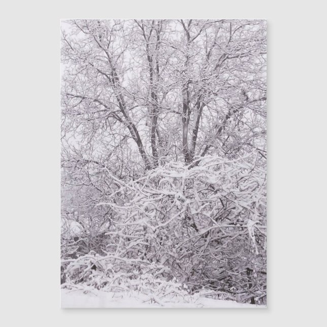 Placa de Vazio Magnética para Neve (Frente)