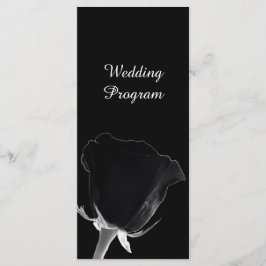 Placa do Programa de Casamento de rosa Noire