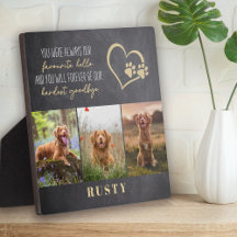 Favorito Olá Mais Difícil Adeus Memorial de Animal