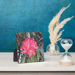 Placa Flor de árvore vermelha