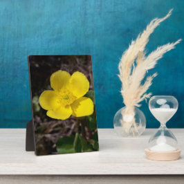 Placa Flor de jardim amarelo