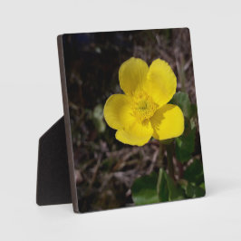 Placa Flor de jardim amarelo