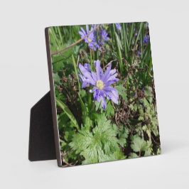 Placa Flor de jardim azul